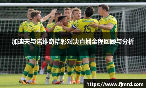 加迪夫与诺维奇精彩对决直播全程回顾与分析